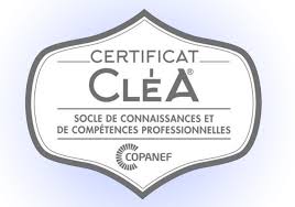 You are currently viewing Dynamique vers l’emploi – CleA