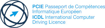 Read more about the article PCIE : Votre bilan de compétences numériques gratuit