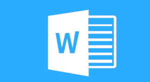 RS6559 – Formation Word niveau avancé
