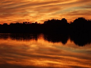 Couleurs nocturnes