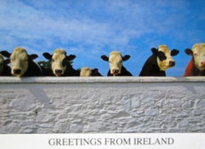 Carte postale d'Irlande