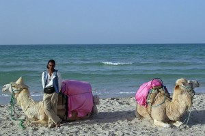 Chamelier à Djerba