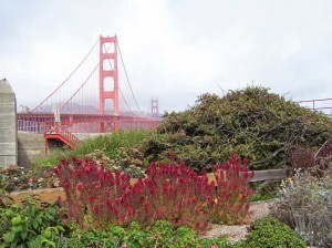 Golden Gate à San Francisco