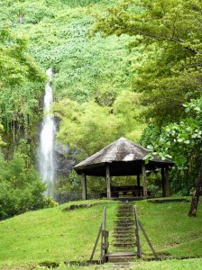 La cabane sous la cascade