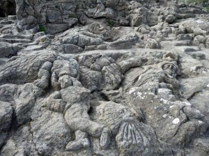 Roches sculptées à Rotheneuf - St malo