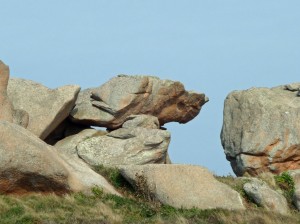 Tête de chien à Ploumanach