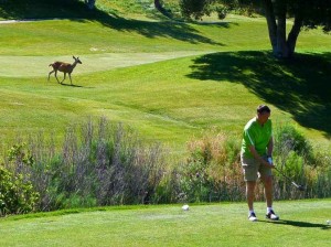 golfeur inattendu