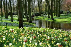 Keukenhof