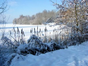 manteau de neige