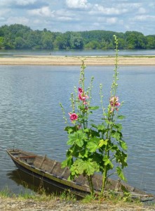 Les bords de la Loire