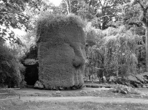 Parc floral de Saint Cyr en Talmondais (Vendée)