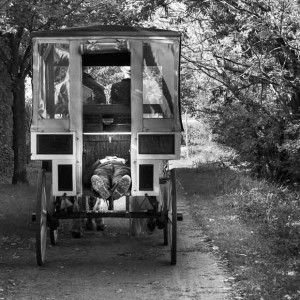 concours photo 2014 (3)